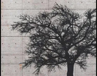 Carta da parati con albero nero su sfondo grigio WPT904 di Murobianco