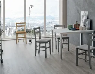 Sedia Salvador con struttura in legno verniciato e seduta in morbida microfibra effetto velluto di Target Point