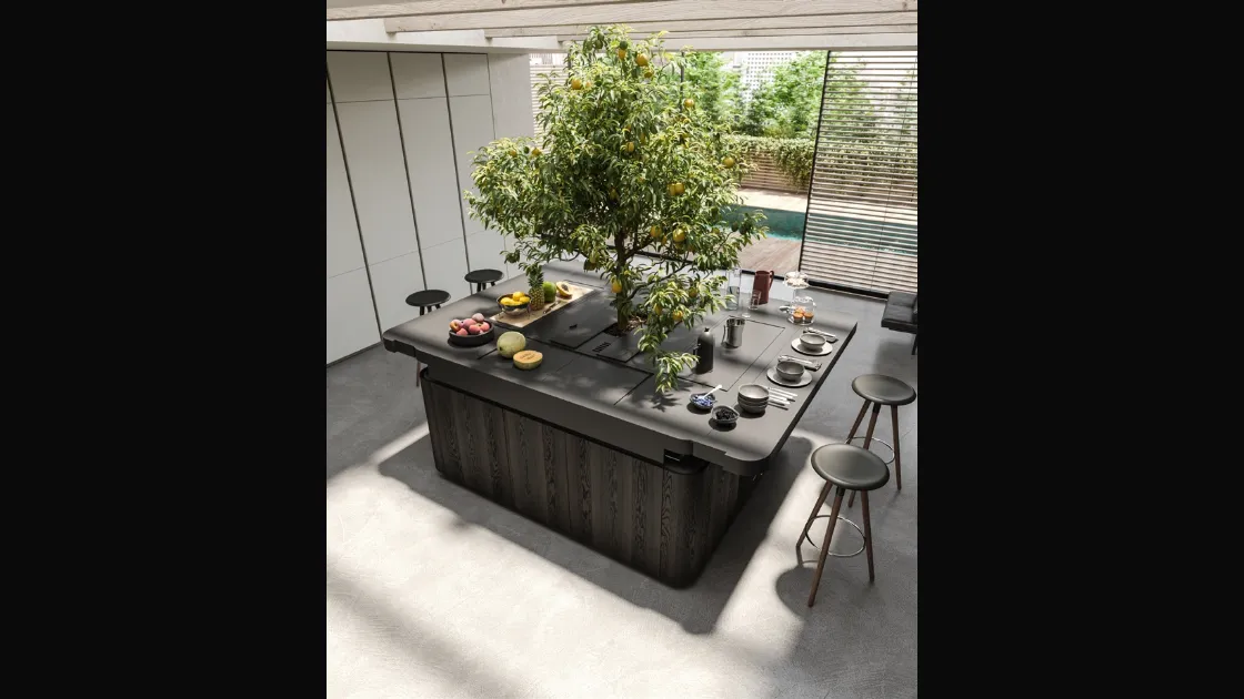 Cucina Design a isola Oasi in Rovere fossile con albero di limoni di Aran